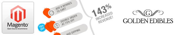 Increase your revenue with Magento Enterprise