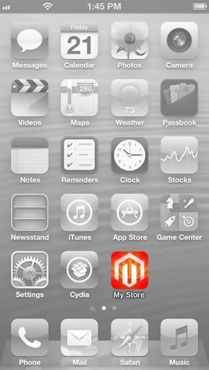 Example: Touch icon on iPhone