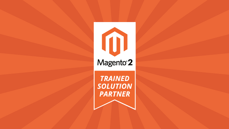 Magento 2 solution partner