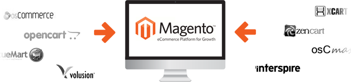 migration, magento data transfer, data transfer, magento development